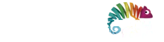 Agência de Marketing
